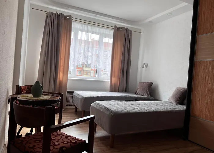 Prisiminkim Praeiti 公寓 克莱佩达